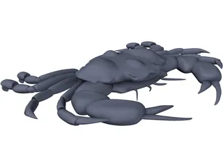 Harris Mud Crab 3D Model