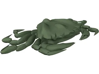 European Green Crab 3D Model