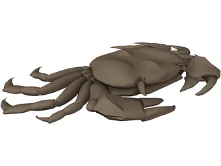 Asian Shore Crab 3D Model