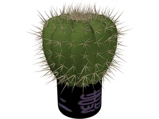 Cactus 3D Model