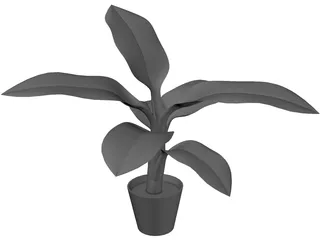 Banana Plant 3D Model