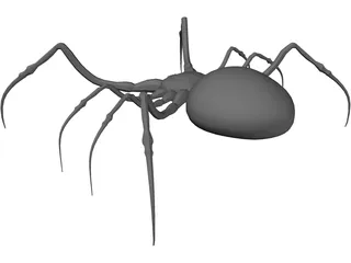 Spider 3D Model