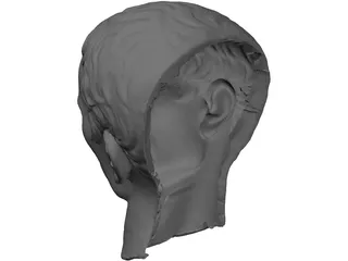 Julius Caesar 3D Model