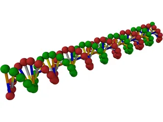 DNA 3D Model