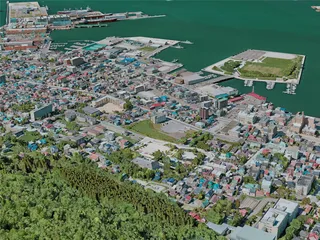 Hakodate City, Japan (2021) 3D Model