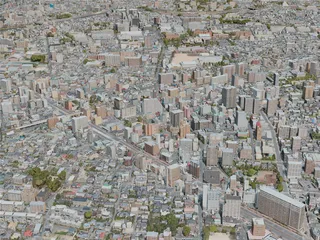 Kumamoto City, Japan (2021) 3D Model