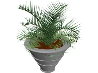 Plant in Vase 3D Model