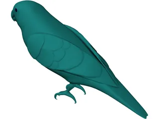 Parakeet 3D Model