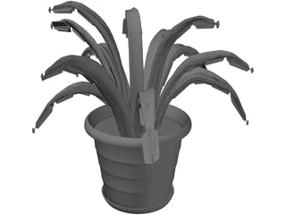 Aloe Plant in a Pot 3D Model