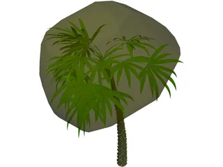 Palm 3D Model