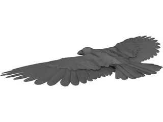 Raven 3D Model