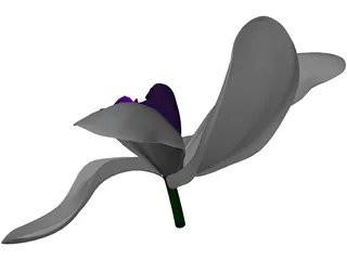 Orchid 3D Model