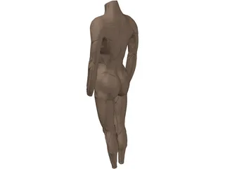 Surface Muscles 3D Model