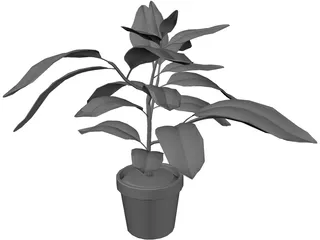 Houseplants 3D Model