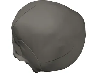 Skull Detailed 3D Model