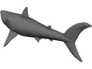 Shark Great White 3D Model