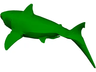 Shark 3D Model