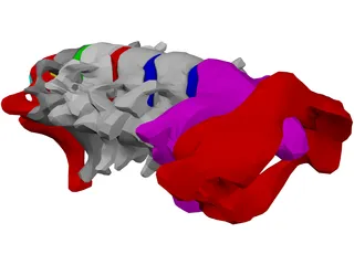 Vertebrae Cervical 3D Model