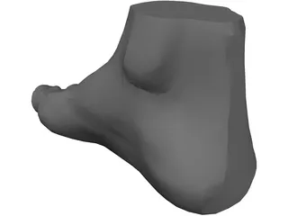 Foot 3D Model