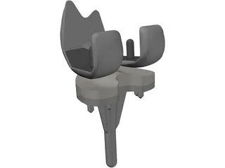 Knee 3D Model