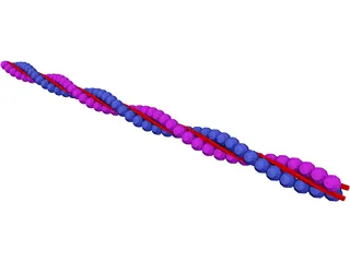 Actin DNA Strand 3D Model