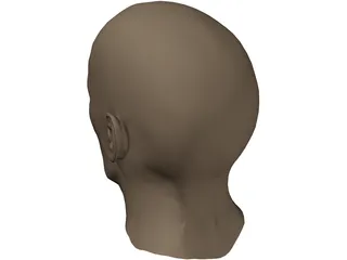 Head Male 3D Model