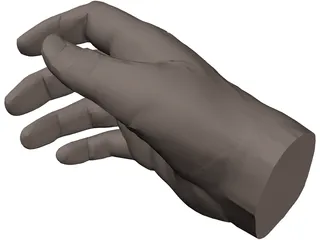 Hand Male 3D Model