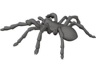 Tarantula 3D Model