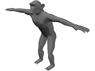 Chimpanzee 3D Model