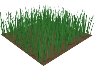 Grass 3D Model