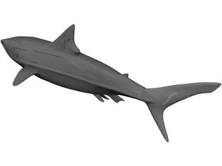 Great White Shark 3D Model