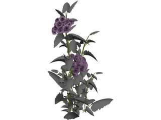 Plant 3D Model