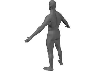 Man Body International 3D Model