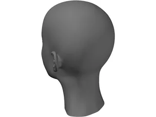 Head 3D Model