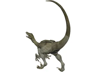 Raptor 3D Model