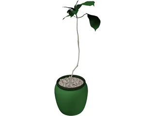 Plant 3D Model