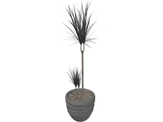 Plant 3D Model