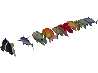 Fish Collection 3D Model