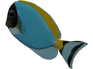 Amblyrhyncotes 3D Model