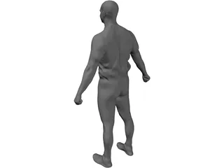 Human 3D Model