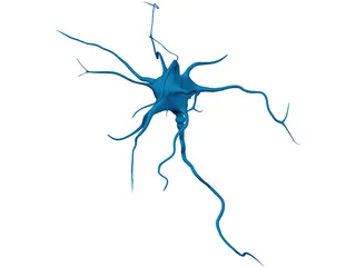 Neuron 3D Model