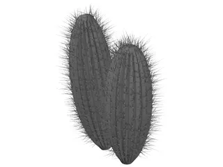 Cactus 3D Model