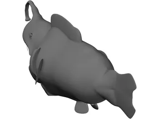 Angler Fish 3D Model