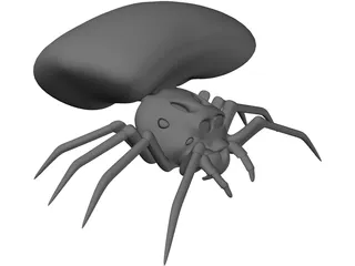 Jumping Spider 3D Model