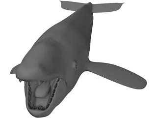 Whale 3D Model