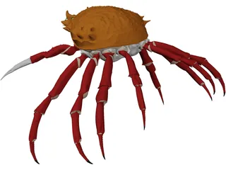 Crab (Maia Squinado) 3D Model