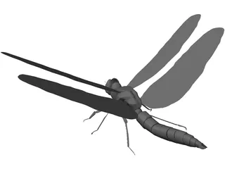 Dragon Fly 3D Model