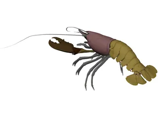 Lobster (Homarus Gammarus) 3D Model
