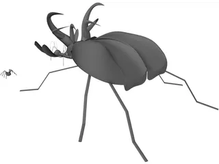 Insects 3D Model