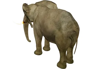 Elephant African Male 3D Model